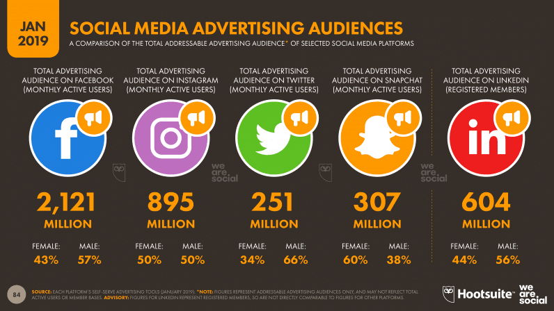 Social Media Advertising Audience